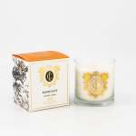 Safari Days Large Candle