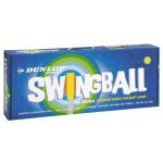 Dunlop Pro Slam Swingball