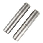 Bullet Hinge 100X20 Each Livestainable