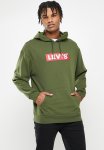 Levi's T3 Relaxd Graphic Hoodie - Mossy Green