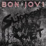 Slippery When Wet Vinyl Record