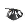 Load Up Car Safety Harness - Medium