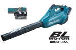 Cordless Blower Bl motor