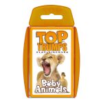 Baby Animals
