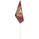 Champion Medium Hand Flag 450MM 300MM