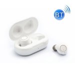GM-305 Binaural Magnetic Rechargeable Hearing Aid Wireless Bluetooth Elderly Voice Amplifier White
