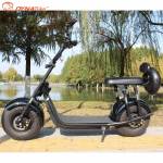 Removable Battery Electric Scooter