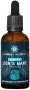 Lions Mane Tincture