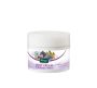 Body Cream Fig Milk And Argan Oil 'sensual Seduction' 200 Ml
