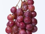 Grape Concentrate - 100ML