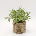 1PC Artificial Green Plant Potted Plant Indoor And Outdoor Home Decoration Grass Woven Rope MINI Potted Plant