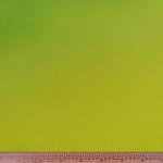 Duchess Satin 150CM Green