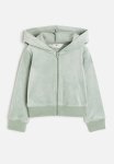 Velour Zip-through Hoodie - Light Sage Green