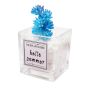 Compact Glass MINI Succulent Planter Pot - Pink