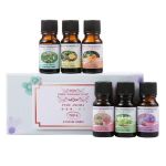 6 Bottles Set 10ML Essential Oil Pure Aroma Fragrance Oil Air Humidifier