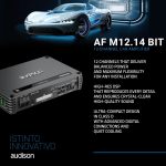 Af M12.14 Bit 12-CHANNEL Class D Amplifier 14 Channel Dsp