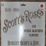 Scotts Roses Stencil - Mb Pine