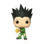 Animation: Hunter X - Gon Freecss