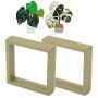 Anthurium & Monstera Plant Magnet Set With Floating Display Frames