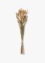 Bunny Tail Decor Bunch