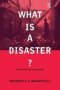 What Is A Disaster? - A Dozen Perspectives On The Question   Paperback New