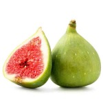 Fig White Genoa Tree 19CM Pot