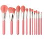 12 Piece Makeup Brush Set