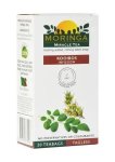Moringa Tea Rooibos 20 Horizon