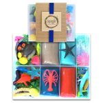 Coral Reef Playdough Set