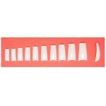 Sina French White Nail Tips 10 Sizes 100 PACK