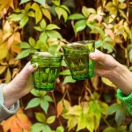 Le Picardie Tumbler Vert Set Of 4