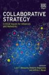 Collaborative Strategy - Critical Issues For Alliances And Networks Hardcover