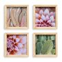 Pine Boxed Canvas 4 Piece Collage Desert Flora