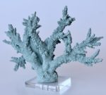 Artificial Pale Blue Coral On Base 26X36CM