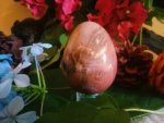 Petrified Wood Stone Egg