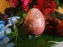 Petrified Wood Stone Egg