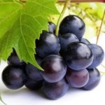 Grape Concentrate - 10ML