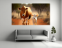 Canvas Wall Art - Cow And Calf B1461