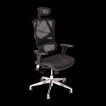 Demo Of Wp Sigma Ergonomic Chair