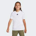 Adidas Boys Small Logo Tee