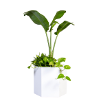 Modul Planter - Textured White Medium