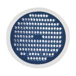 Sc Blue LED Light Globe