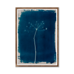 Dried Fennel 1 I Art Print - A3