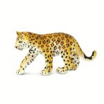 Leopard Cub -