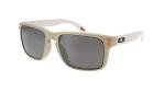 Hugo Boss HG1389