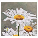 Cosmetic Daisies 15CM