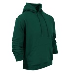 Unisex Phoenix Hoodie
