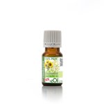 Meadowsweet Filipendula Ulmaria Macerated Carrier Oil Organic - 10 Ml