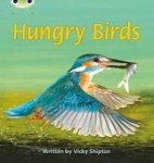 Bug Club Phonics Bug Non-fiction Set 23 Hungry Birds Paperback
