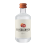 Handcrafted Gin Bottle 50ML